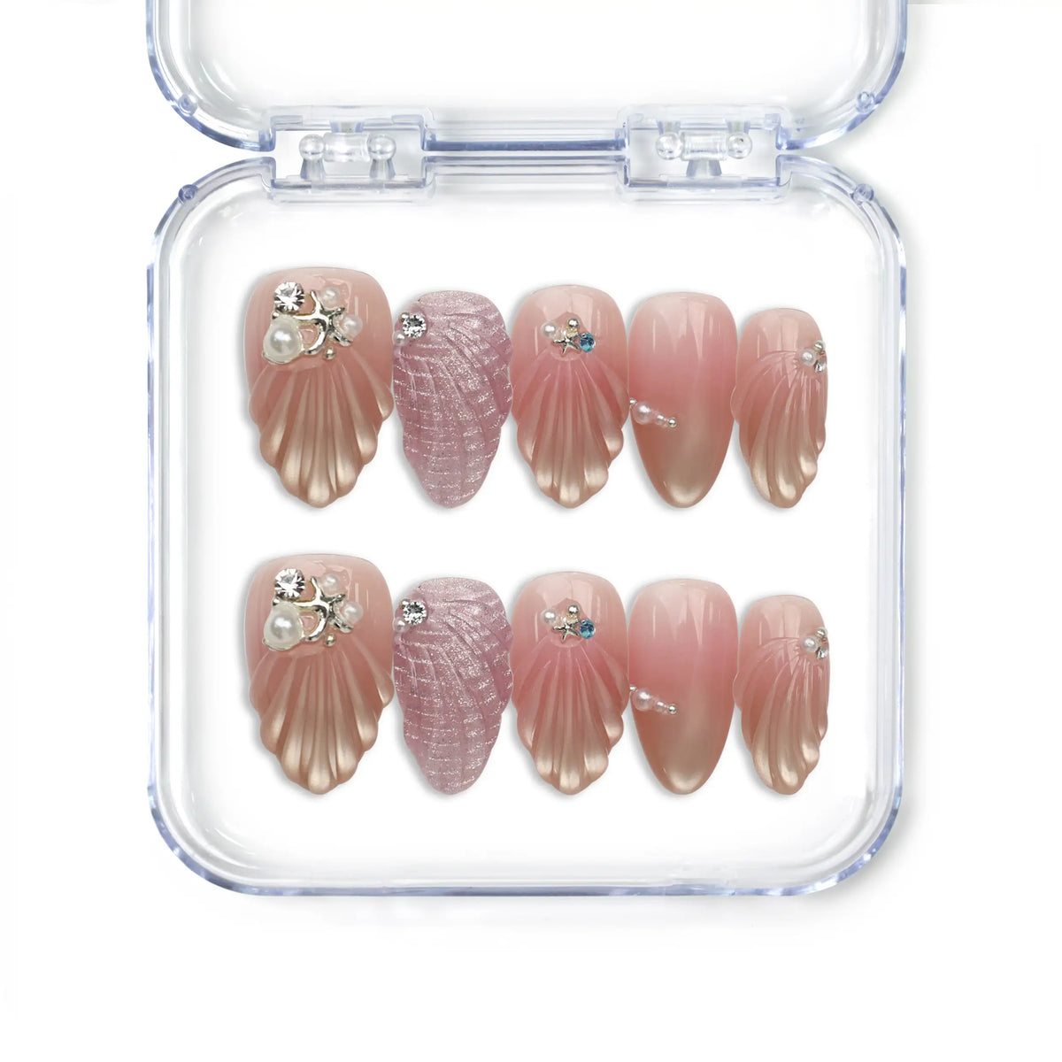 Brown Sea Shell Elegance