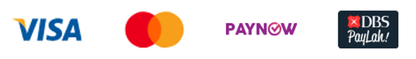 Visa, Mastercard, PayNow, DBS PayLah!